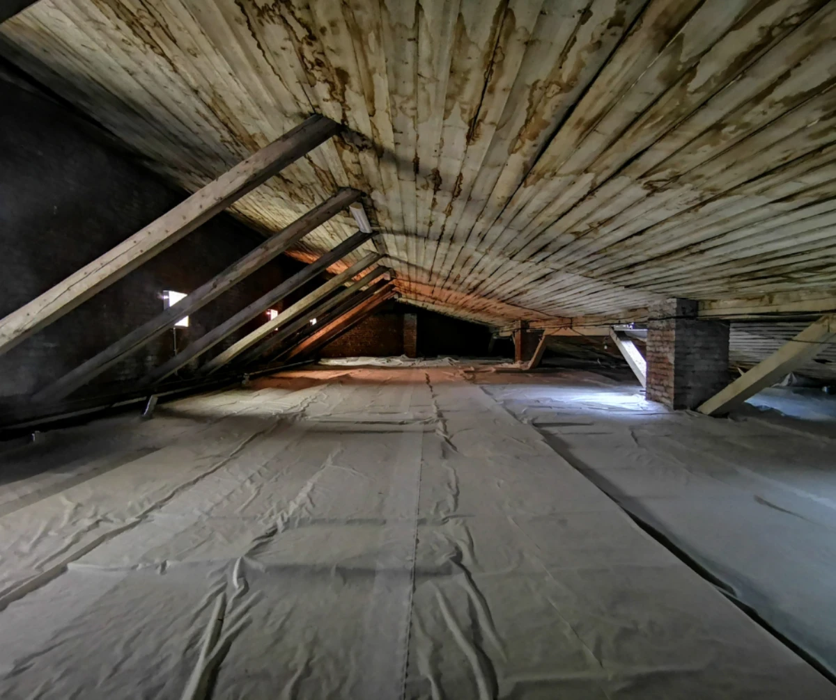 A SOLAR ATTIC FAN CAN HELP WARD OFF MOLD